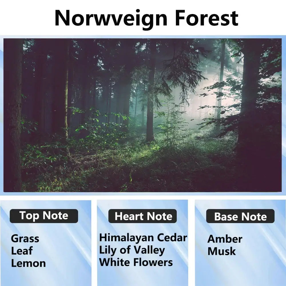 300ml Aromatherapy Oil Diffuser - Home & Car Essential Oil Air Purifier