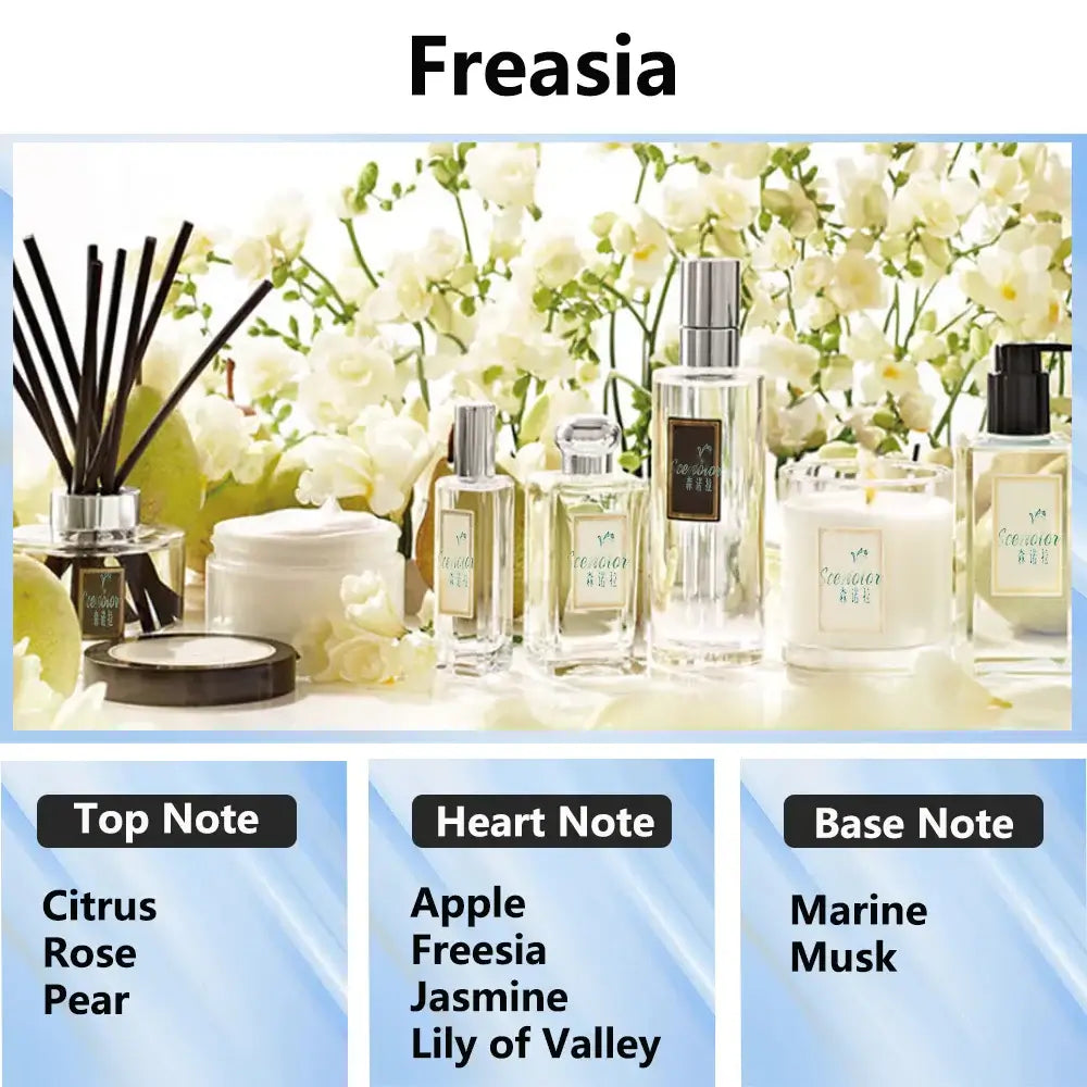 300ml Aromatherapy Oil Diffuser - Home & Car Essential Oil Air Purifier