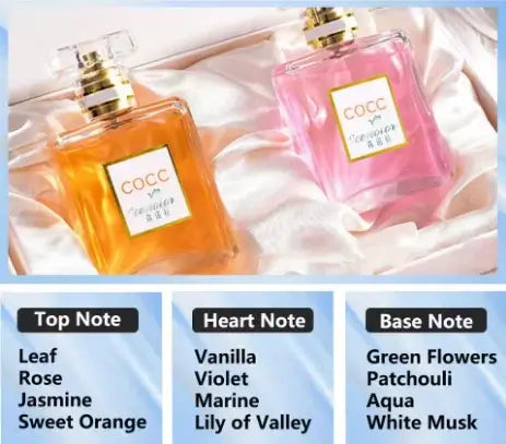 300ml Aromatherapy Oil Diffuser - Home & Car Essential Oil Air Purifier