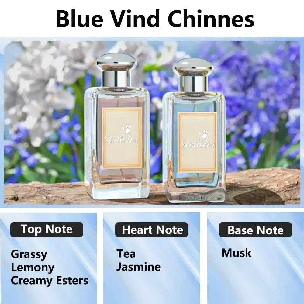 300ml Aromatherapy Oil Diffuser - Home & Car Essential Oil Air Purifier