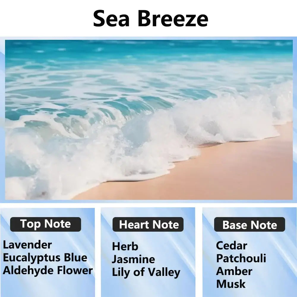 300ml Aromatherapy Oil Diffuser - Home & Car Essential Oil Air Purifier