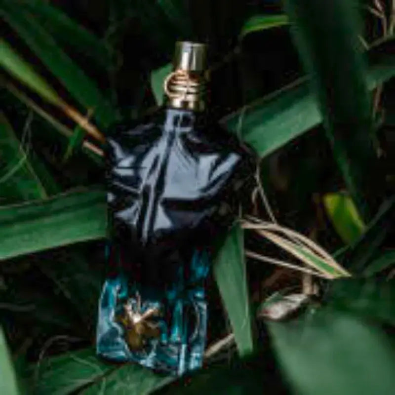 Jean Paul Gaultier Le Beau Eau de Parfum bottle on green foliage, showcasing its modern masculine design.