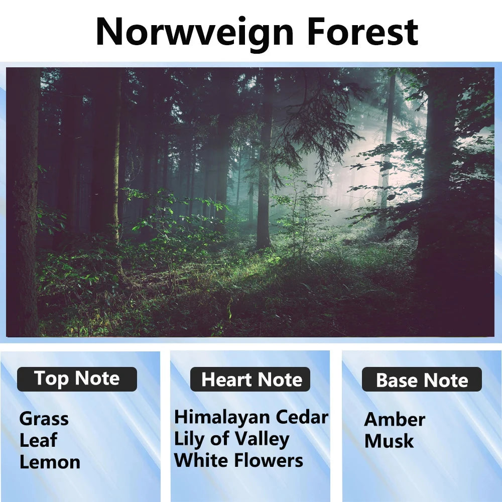 300ml Aromatherapy Oil Diffuser - Home & Car Essential Oil Air Purifier