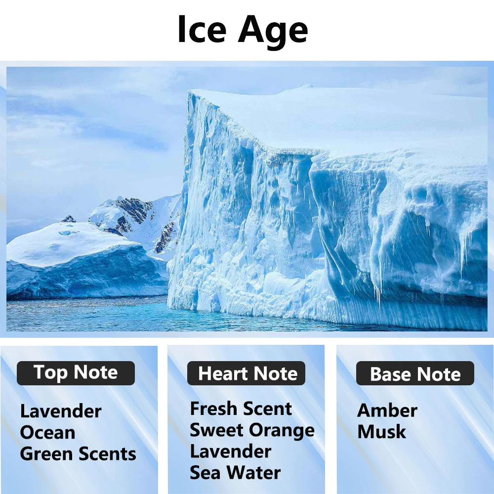 300ml Aromatherapy Oil Diffuser - Home & Car Essential Oil Air Purifier