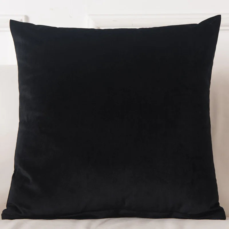Velvet Throw Pillow Cover - Decorative Square Cushion Case for Sofa & Bedroom