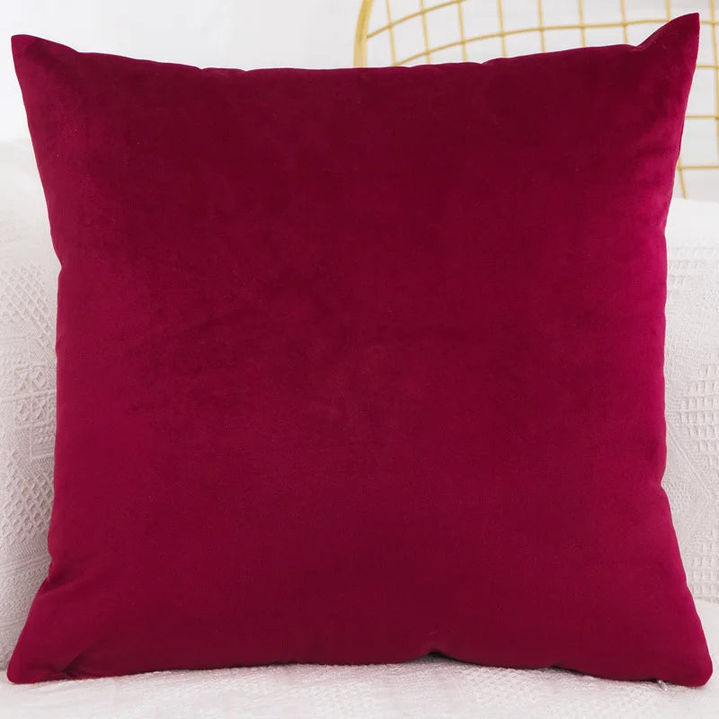 Velvet Throw Pillow Cover - Decorative Square Cushion Case for Sofa & Bedroom