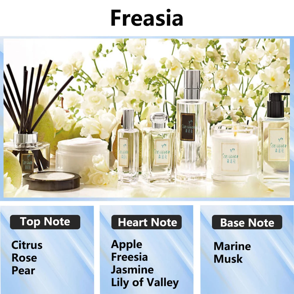 300ml Aromatherapy Oil Diffuser - Home & Car Essential Oil Air Purifier