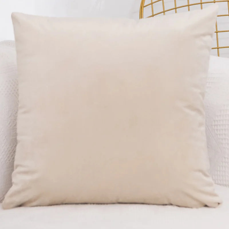 Velvet Throw Pillow Cover - Decorative Square Cushion Case for Sofa & Bedroom